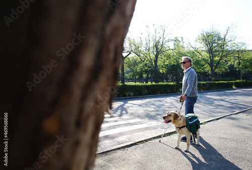 Blind senior man with guide...