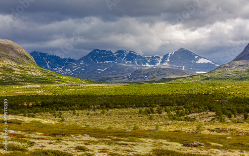 Rondane national park in Norway: landscape with mountains, forests and light green ground cover of cladonia lichens in spring