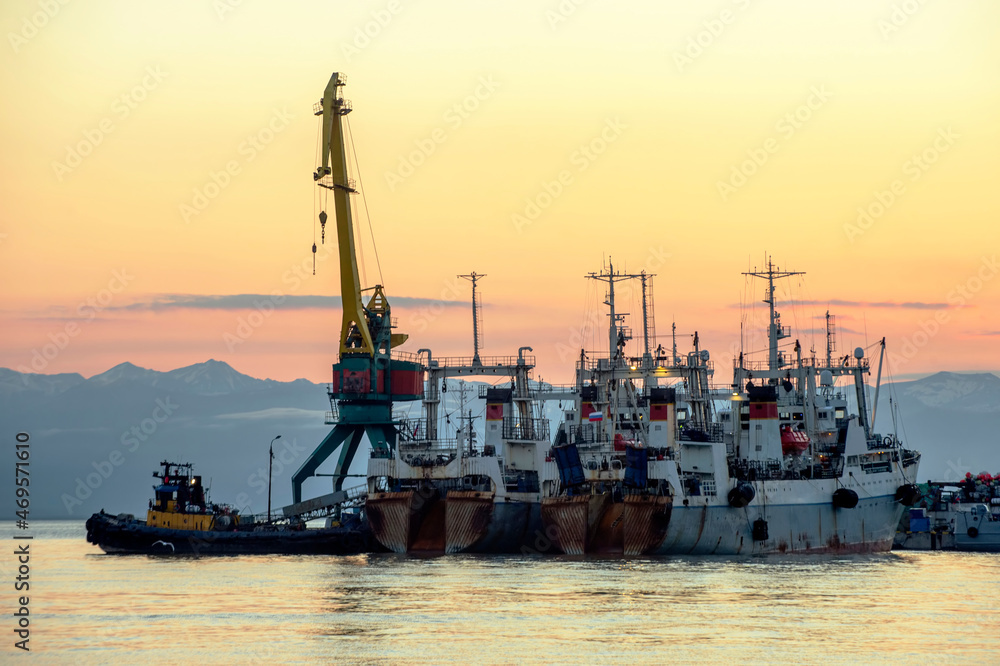 Kamchatka Peninsula, Russia.
Seaport in Petropavlovsk-Kamchatsky. Fishing ships unloading