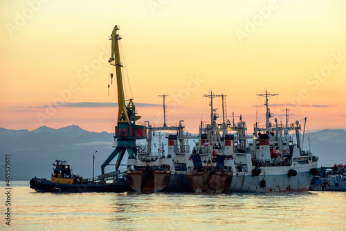 Kamchatka Peninsula, Russia. Seaport in Petropavlovsk-Kamchatsky. Fishing ships unloading