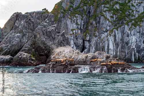 World popular tourist destination, Kamchatka Peninsula, Russia. Sea excursions to sea lions off the coast of Kamchatka