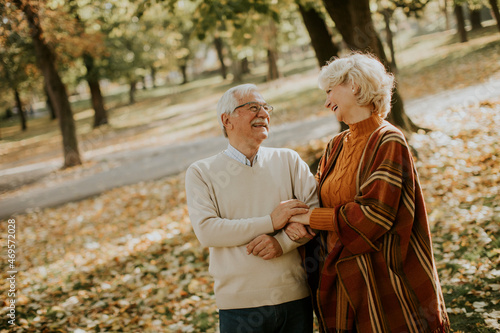 Senior couple walking in au...