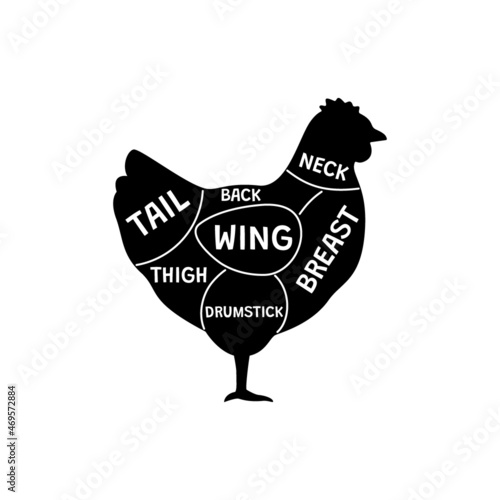 Cut meat chicken, silhouette bird, contour pieces hen. Diagram raw chicken meat for butcher. Household bird farm. Whole chick from leg, wing, breast, drumstick, tail, neck. Vector illustration