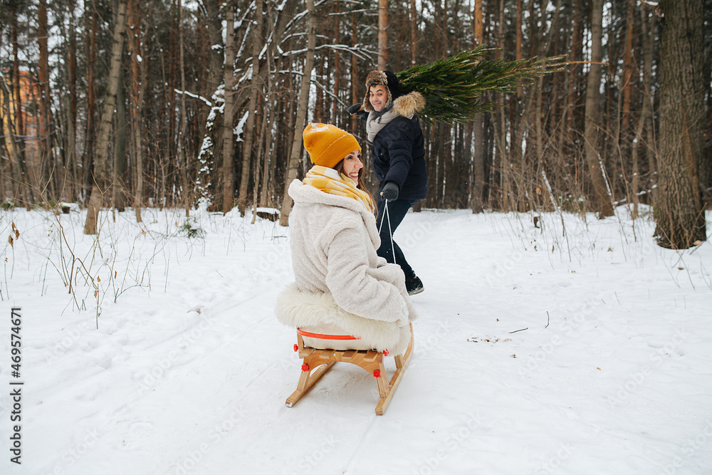 Rear view on happy couple. A man with a Christmas tree on his shoulder walks through the winter woods and pulls a sledge with a woman behind him. 