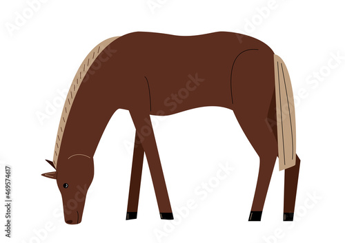 Vector farm animals, rustic domestic horse grazing.Agricultural animals in flat style isolated on white background. Childrens illustration