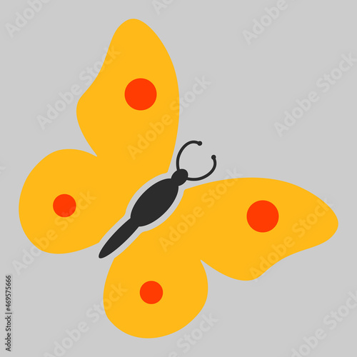 Butterfly vector icon. An isolated flat icon illustration of butterfly with nobody. photo