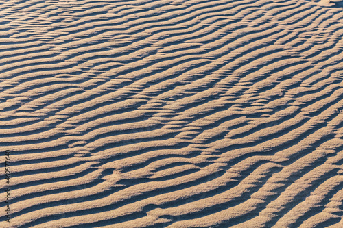 Sand ripple waves in the desert or on the beach on sunny day. Sandy desert abstract texture background at sunset. Windy day.