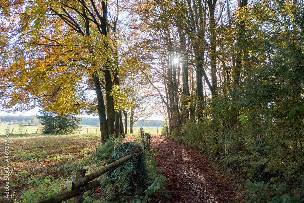 Fototapeta premium Herbstlandschaft