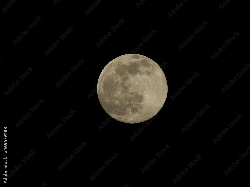 lune lune