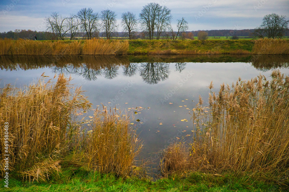 Blick auf den Leipzig Saale Kanal, Wasser, Ufer und Schilf, Dölzig, Sachsen, Deutschland Blick auf den Leipzig Saale Kanal, Wasser, Ufer und Schilf, Dölzig, Sachsen, Deutschland