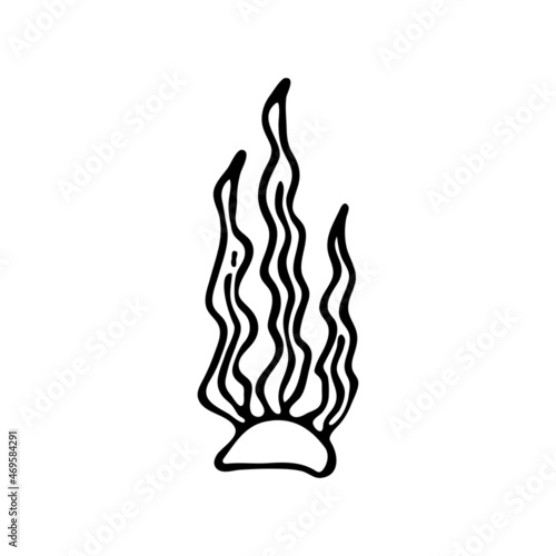 Doodle style seaweed with stones. Marine coral reef. Seabed plant. Aquarium decor. Algae of the ocean. Hand drawn thin line art vector illustration. Isolated simple element.