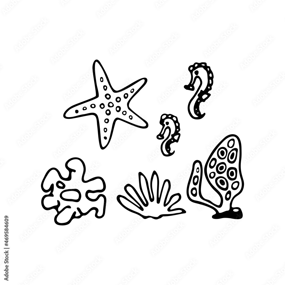 Set of sea corals, seahorse, starfish. Inhabitant of the reef, ocean, seabed, oceanarium, aquarium. Hand drawn thin line art vector illustration. Isolated simple element.