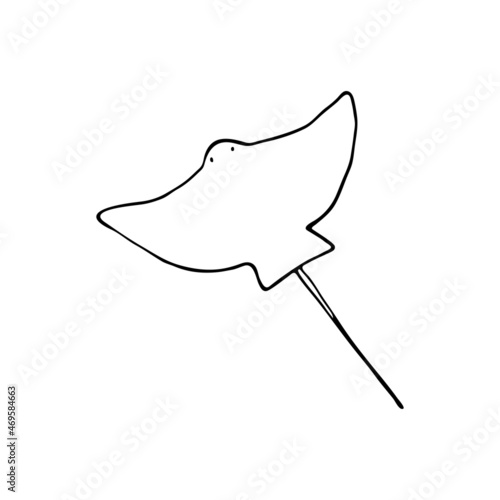 Doodle sea fish stingray. Inhabitant of the coral reef. Animal of the ocean, seabed, oceanarium. Hand drawn thin line art vector illustration. Isolated simple element.
