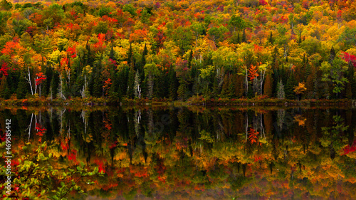 Fall colors in the Mauricie National Park , Canada photo