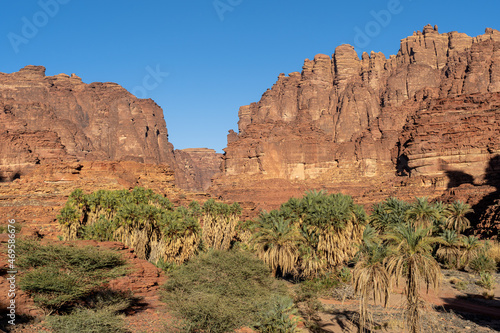 Wind-sculpted sandstone columns of Wadi Al Disah (Valley of the Palms), Saudi Arabia
