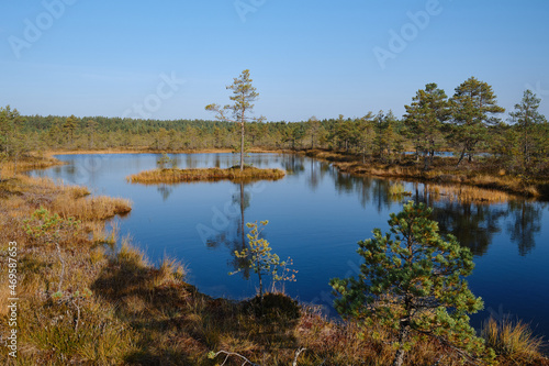 Beautiful natural landscape in Lahemaa National Park in Estonia. Viru Raba swamp in autumn. Travel and exploration. Tourism and travel concept image, fresh and relaxing image of nature