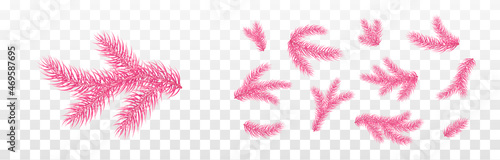 Fir branches isolated on transparent background. Pine, xmas evergreen plants elements. Vector Christmas tree pink decoration set