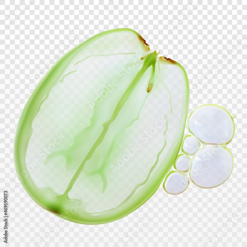 Grape slice and oil bubbles isolated realistic vector illustration. Concept grapeseed oil. Pure natural organic ingredient for cosmetic beauty product