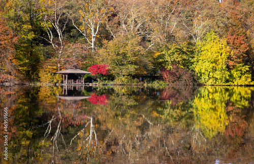 Central park reflection at fall season 