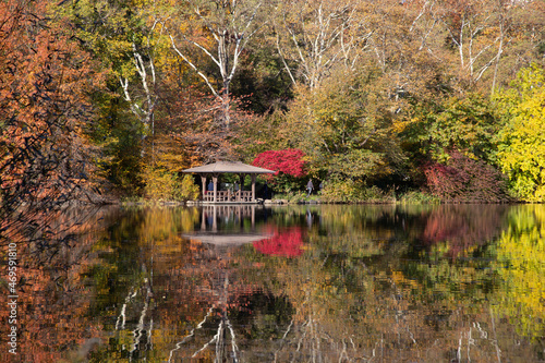 Central Park in fall colors autumn season in new york city 