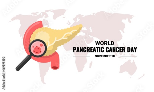 Vector illustration, pancreas and magnifying glass, as banner or poster, World Pancreatic Cancer Day. photo