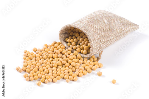 Soybean seeds isolated on white background 