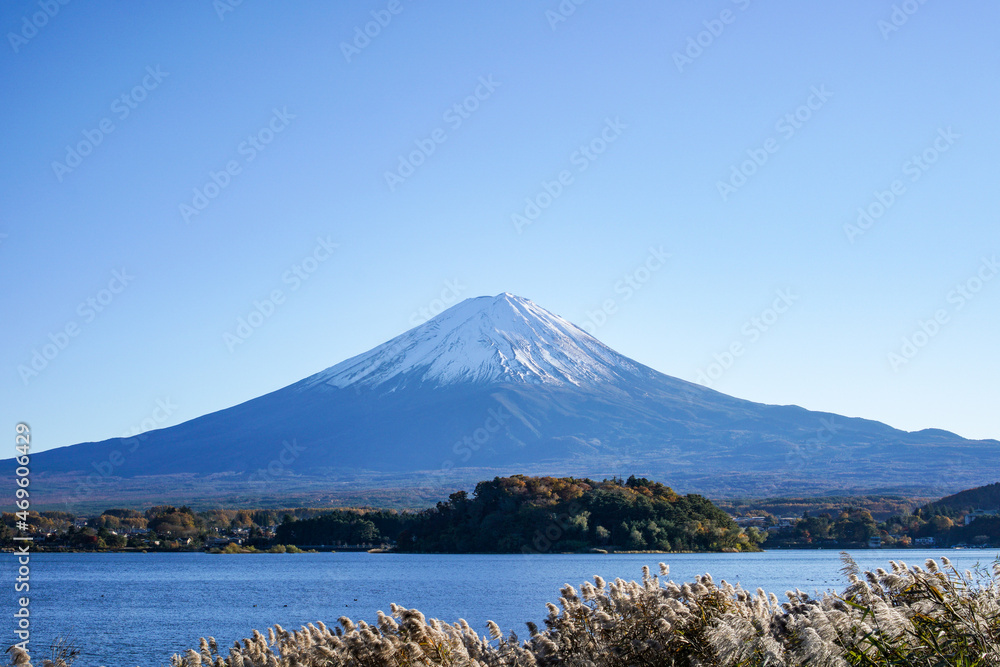 山梨県大石公園からの河口湖と富士山
