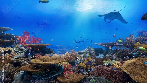 Colorful coral reefs, schools of beautiful fishes swimming blue underwater ocean sea. photo