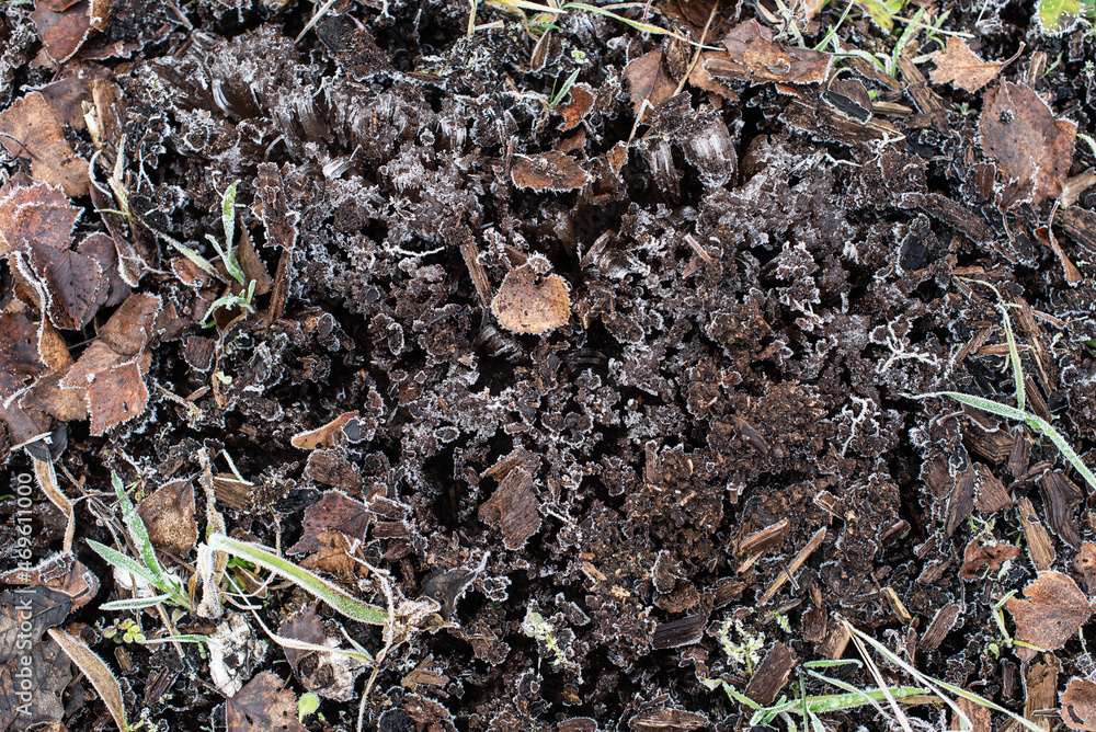 Background with frosty frozen wooden chips, leaves and grass on a cold autumn morning Background with frosty frozen wooden chips, leaves and grass on a cold autumn morning