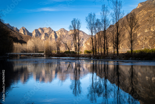 reflection of trees in the lake