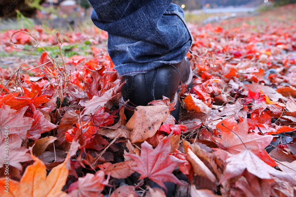 Fototapeta premium 落ち葉の中を歩く