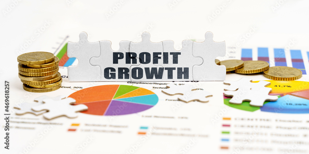 Obraz premium There are coins and puzzles on financial charts with the inscription - PROFIT GROWTH