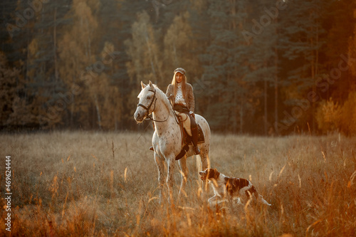 Beautiful young woman in English hunter wear style with Knabstrupper horse and Irish setter at autumn park