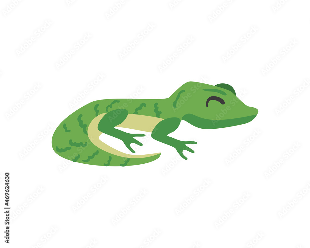 Obraz premium pretty gecko design