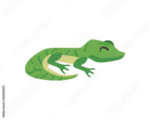 pretty gecko design