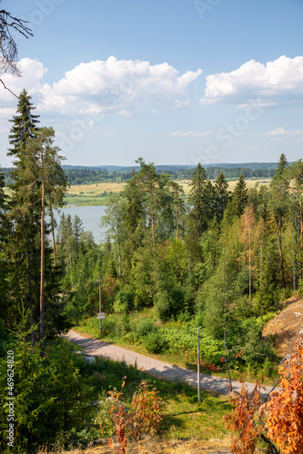 View of the vegetation in the city park of the city of Sortavala in the Republic of Karelia in Russia