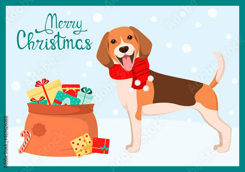 Funny beagle with gifts. Christmas card. Cartoon style. 