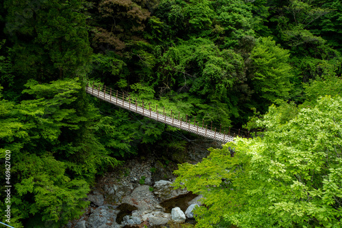 熊本県の秘境五家荘の樅木吊橋