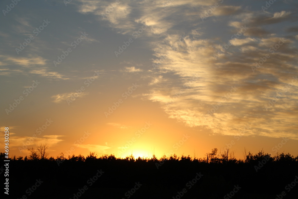 Open Sky, Pylypow Wetlands, Edmonton, Alberta Open Sky, Pylypow Wetlands, Edmonton, Alberta