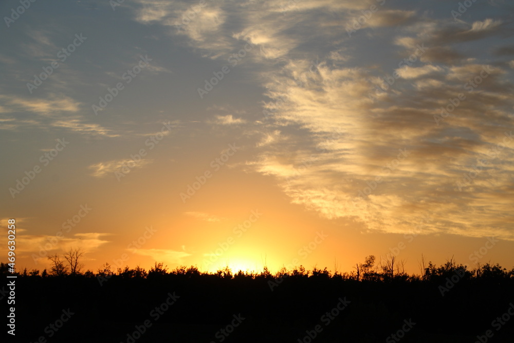 Open Sky, Pylypow Wetlands, Edmonton, Alberta