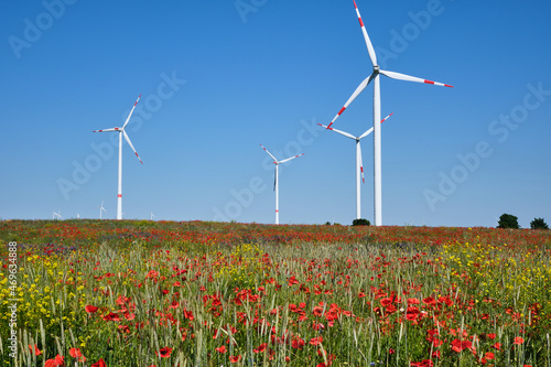 Wind turbines and a meadow full of colorful flowers seen in Germany