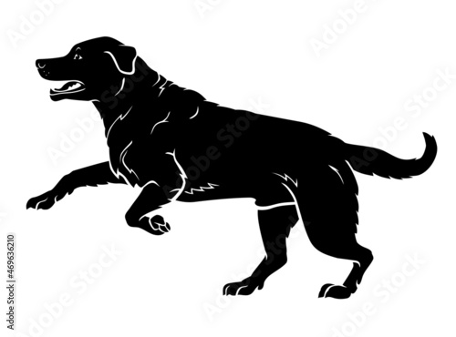 Happy Labrador Breed Dog, Silhouette Illustration