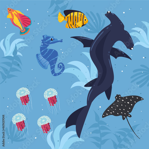 underwater life poster