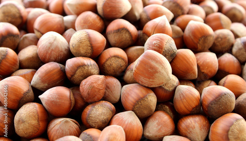 Dried hazelnuts close up view, harvested fruits in summer