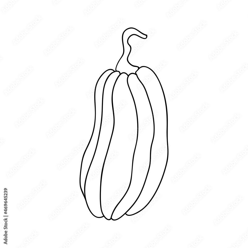 Pumpkin icon or zucchini, in simple line drawings. Vector illustration of pumpkin for Halloween or harvest, badges for labels, packaging Pumpkin icon or zucchini, in simple line drawings. Vector illustration of pumpkin for Halloween or harvest, badges for labels, packaging