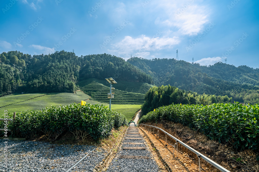 Naklejka premium Hangzhou Qiandao Lake Tea Mountain