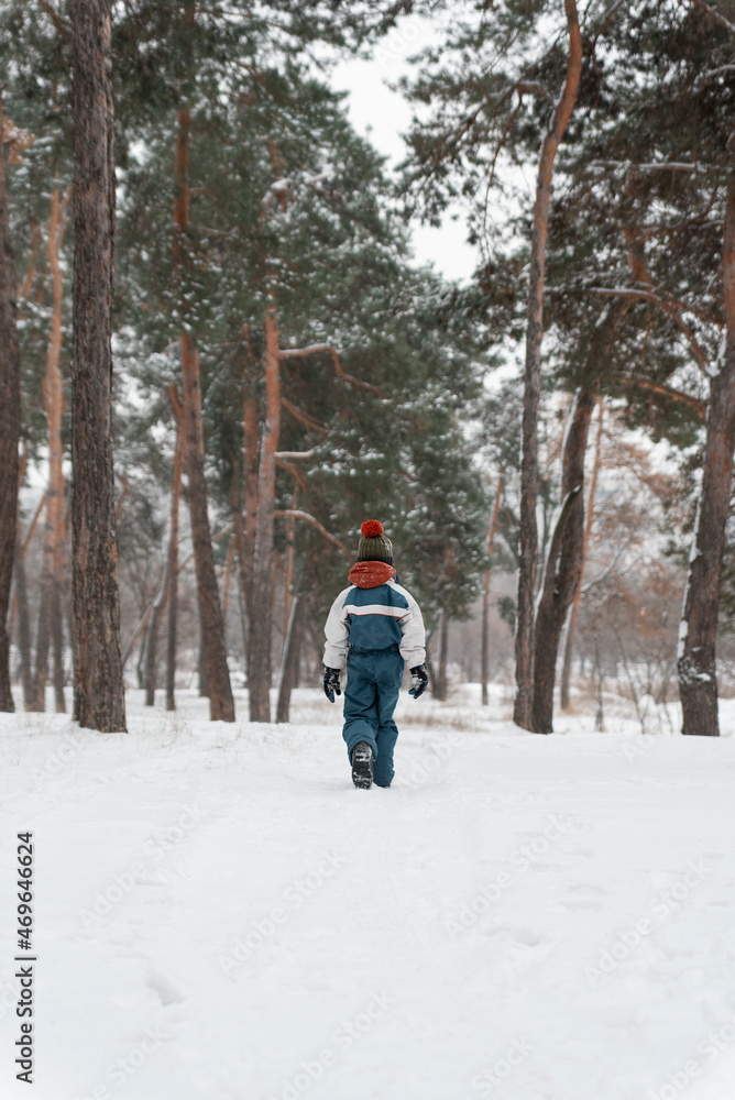 Boy in winter jumpsuit walks in woods in snow. Back view. Winter holidays in spruce forest. Vertical frame