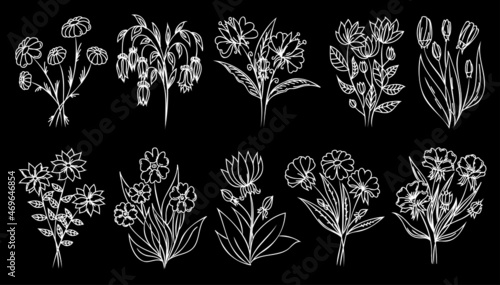 White outline flowers on black background. Line art flowers, linear floral set. Thin line flower illustrations set.
