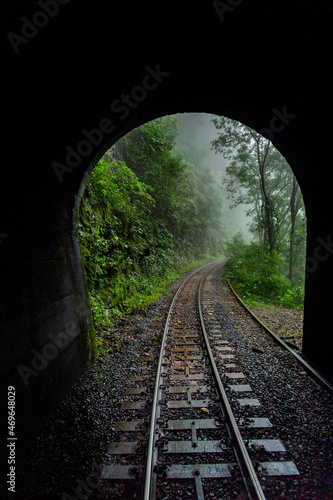 railway in the woods