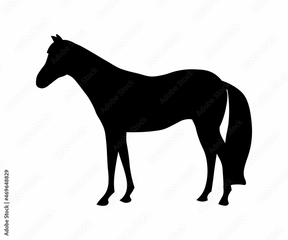 black silhouette of a standing horse